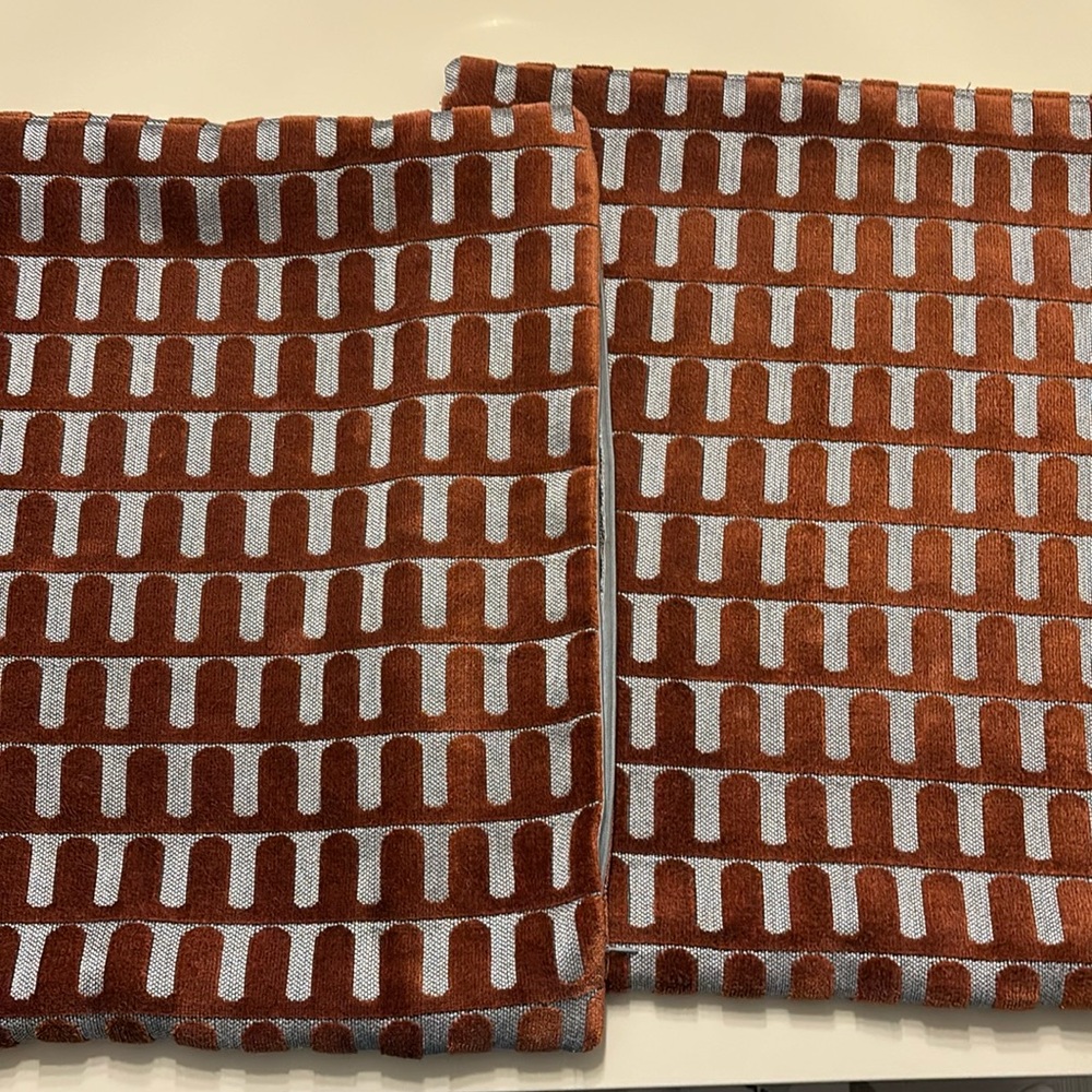 West elm archways velvet pillow cases (x2)